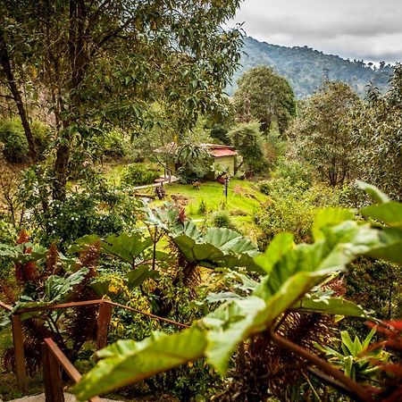 Paraiso Quetzal Lodge Tres de Junio 외부 사진