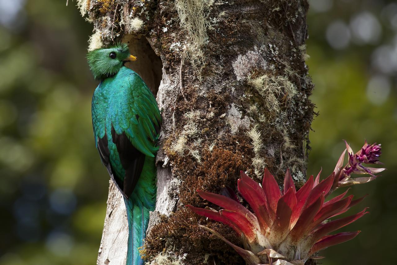 Paraiso Quetzal Lodge Tres de Junio 외부 사진